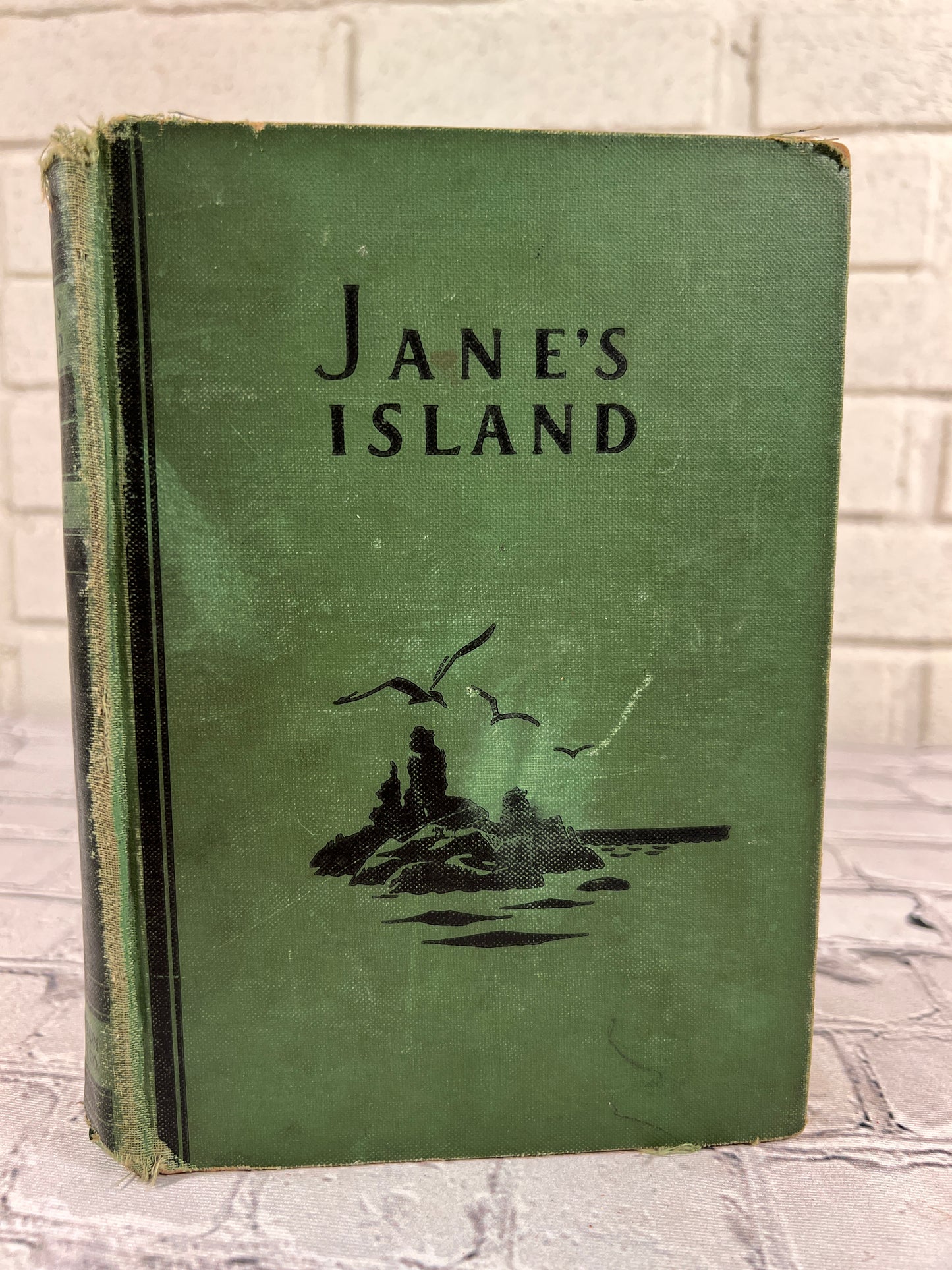 Jane's Island by Marjoie Hill Allee [1931 · 1st Edition]