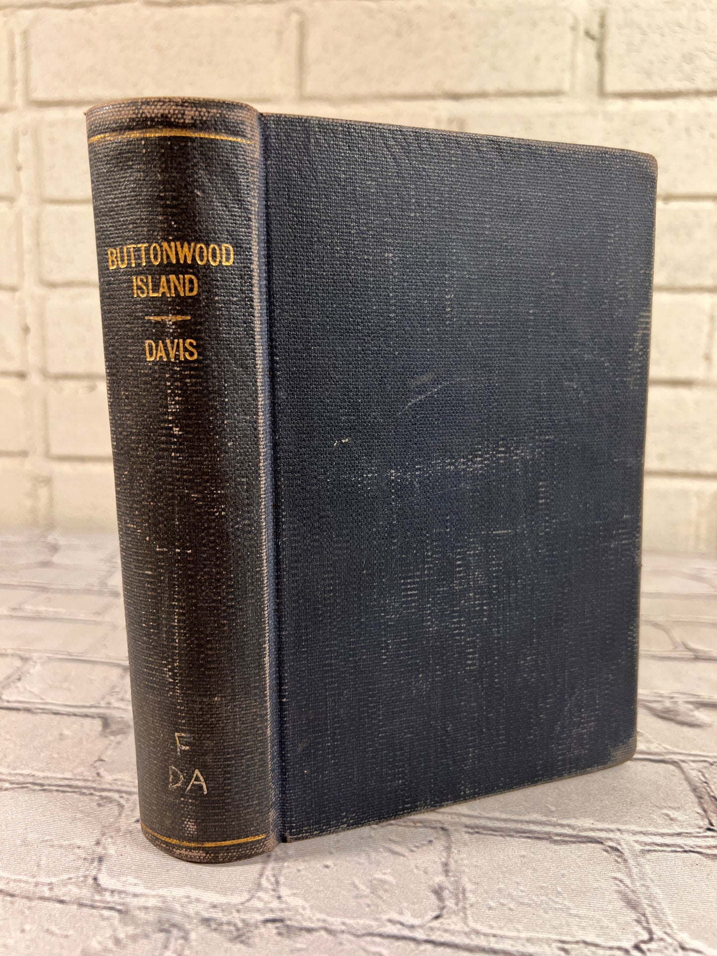 Buttonwood Island by Lavinia R. Davis [1940 · 1st Edition]