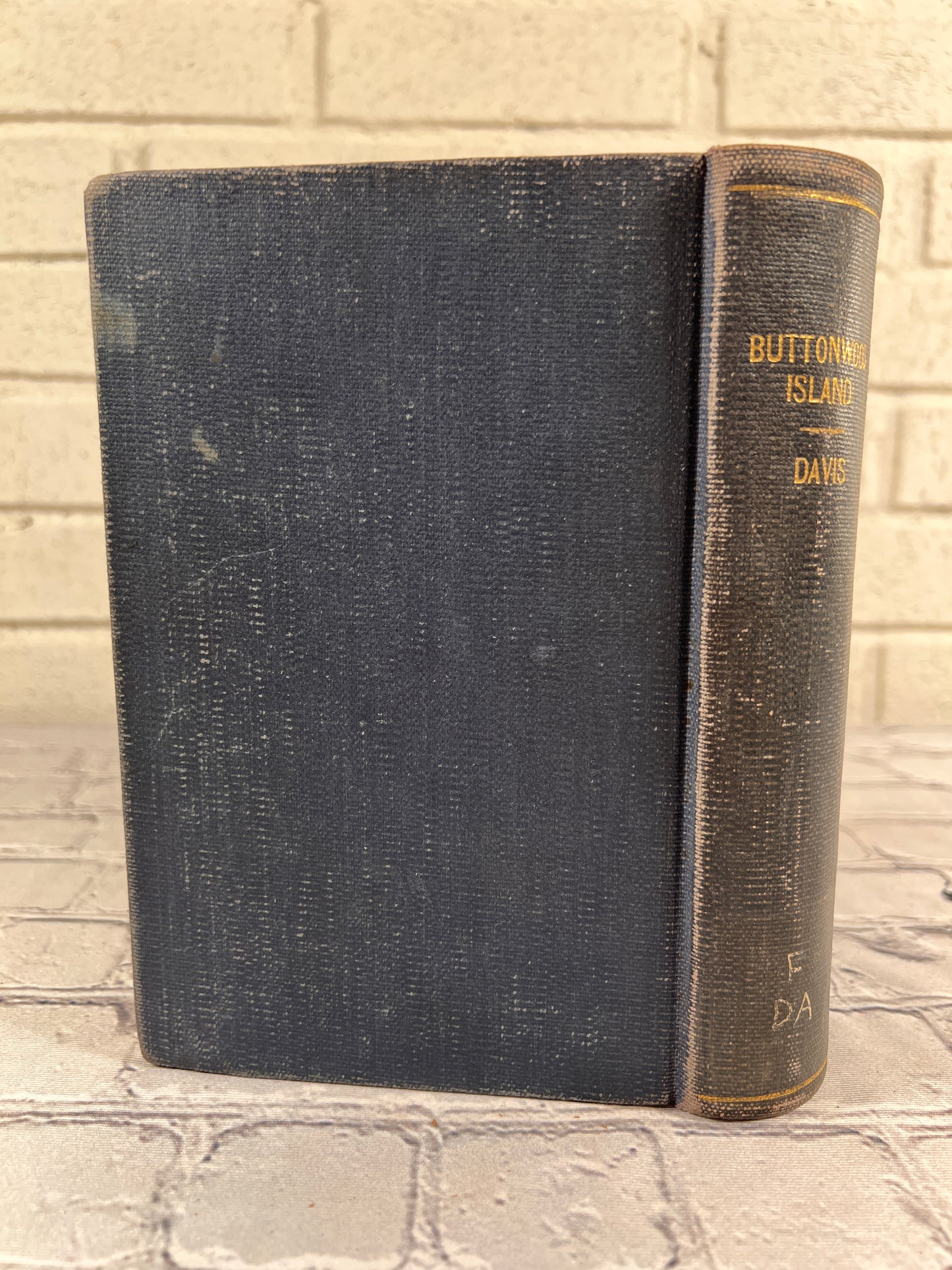 Buttonwood Island by Lavinia R. Davis [1940 · 1st Edition]
