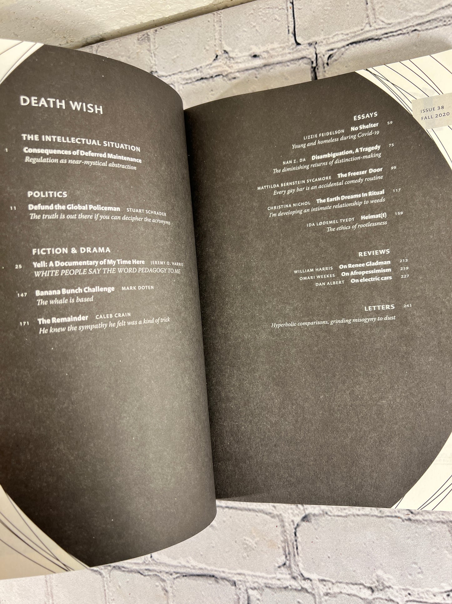 n+1 Magazine Issue 38 Fall 2020 Death Wish