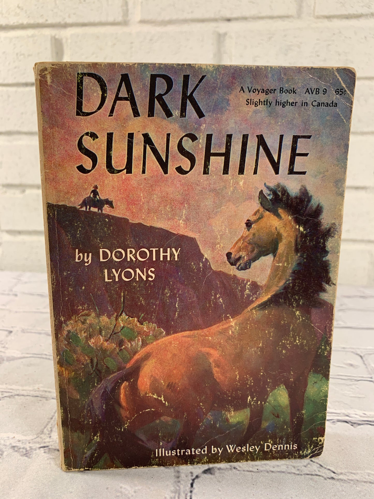 Dark Sunshine by Dorothy Lyons [1951]