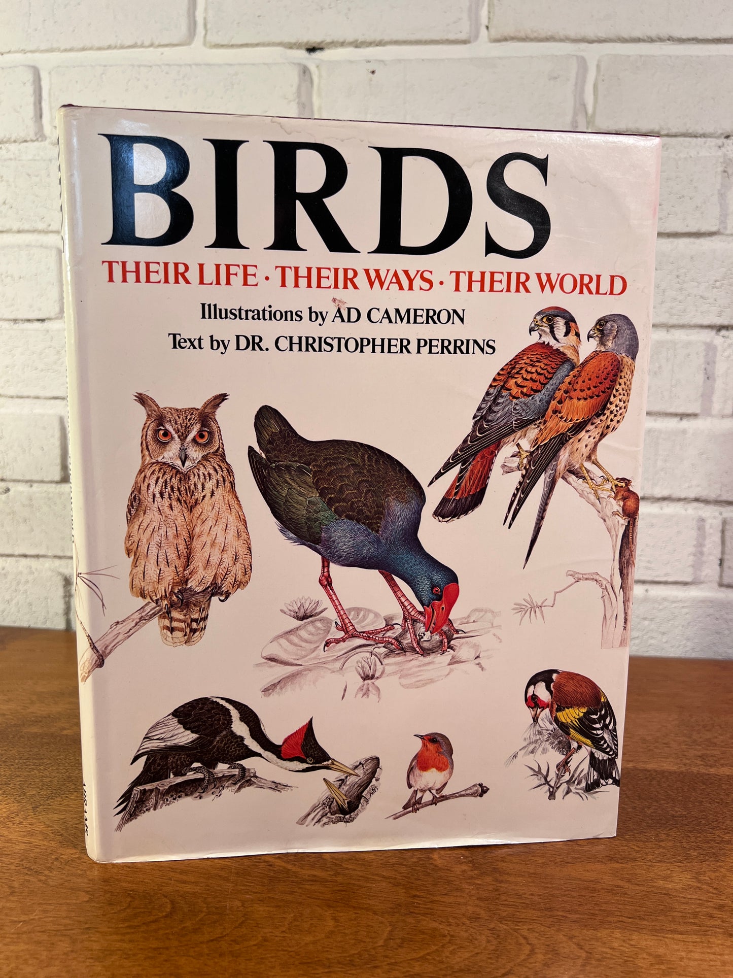 Birds: Their Life -Their Ways - Their World by Dr. Christopher Perkins