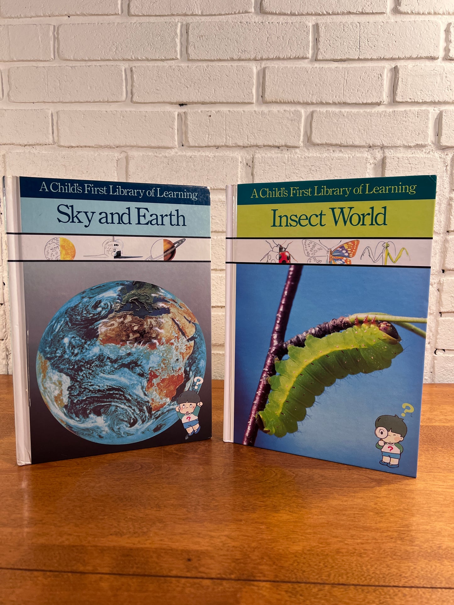 Child's First Library of Learning: Sky & Earth, Insect World
