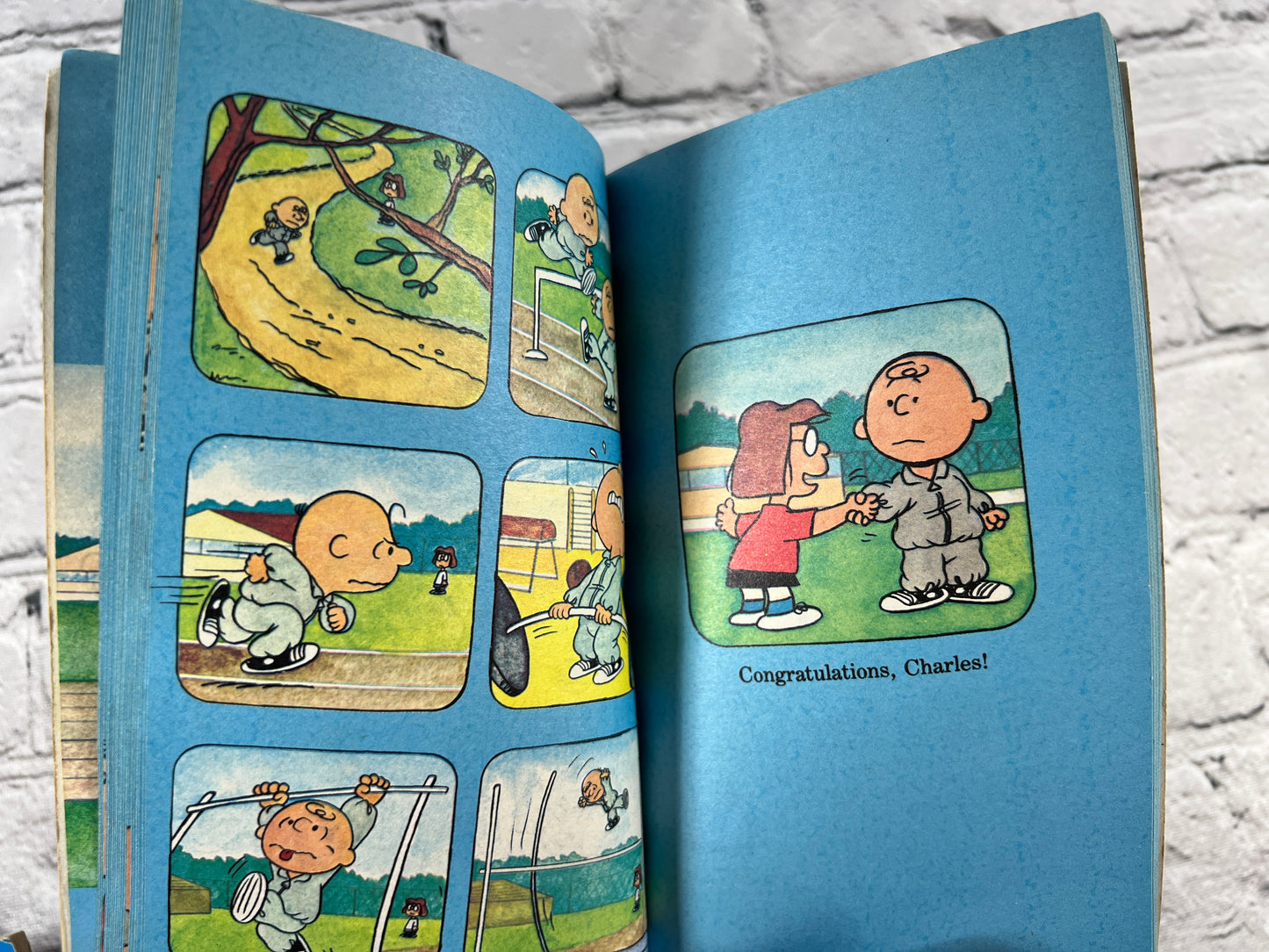 Peanuts A Charlie Brown Special by Charles M Schulz [Lot of 5 · Scholastic · 1970s]