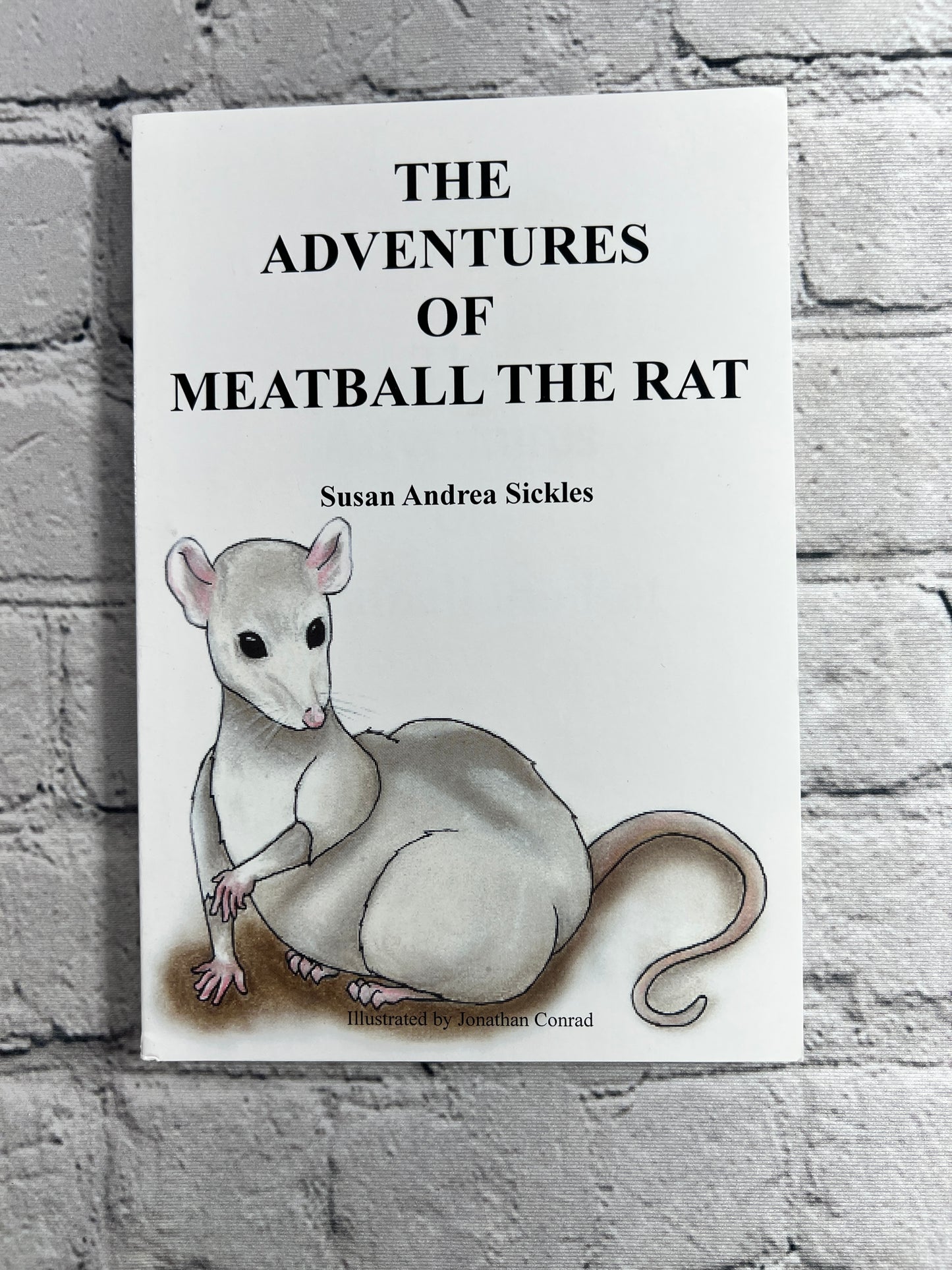 The Adventures of Meatball the Rat by Susan Andrea Sickles [2012 · 1st Edition]