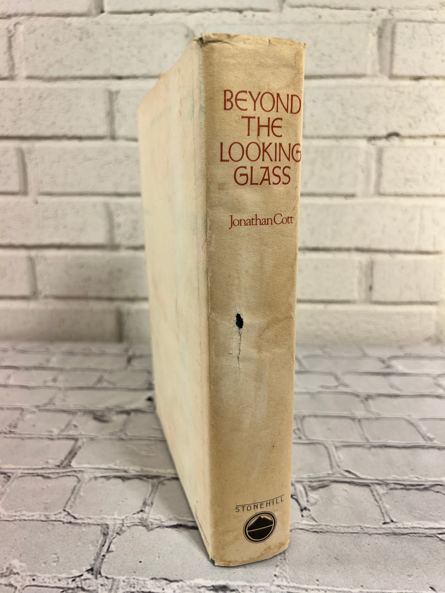 Beyond The Looking Glass Extraordinary Works of Fairy Tale & Fantasy [1st Print · 1973]