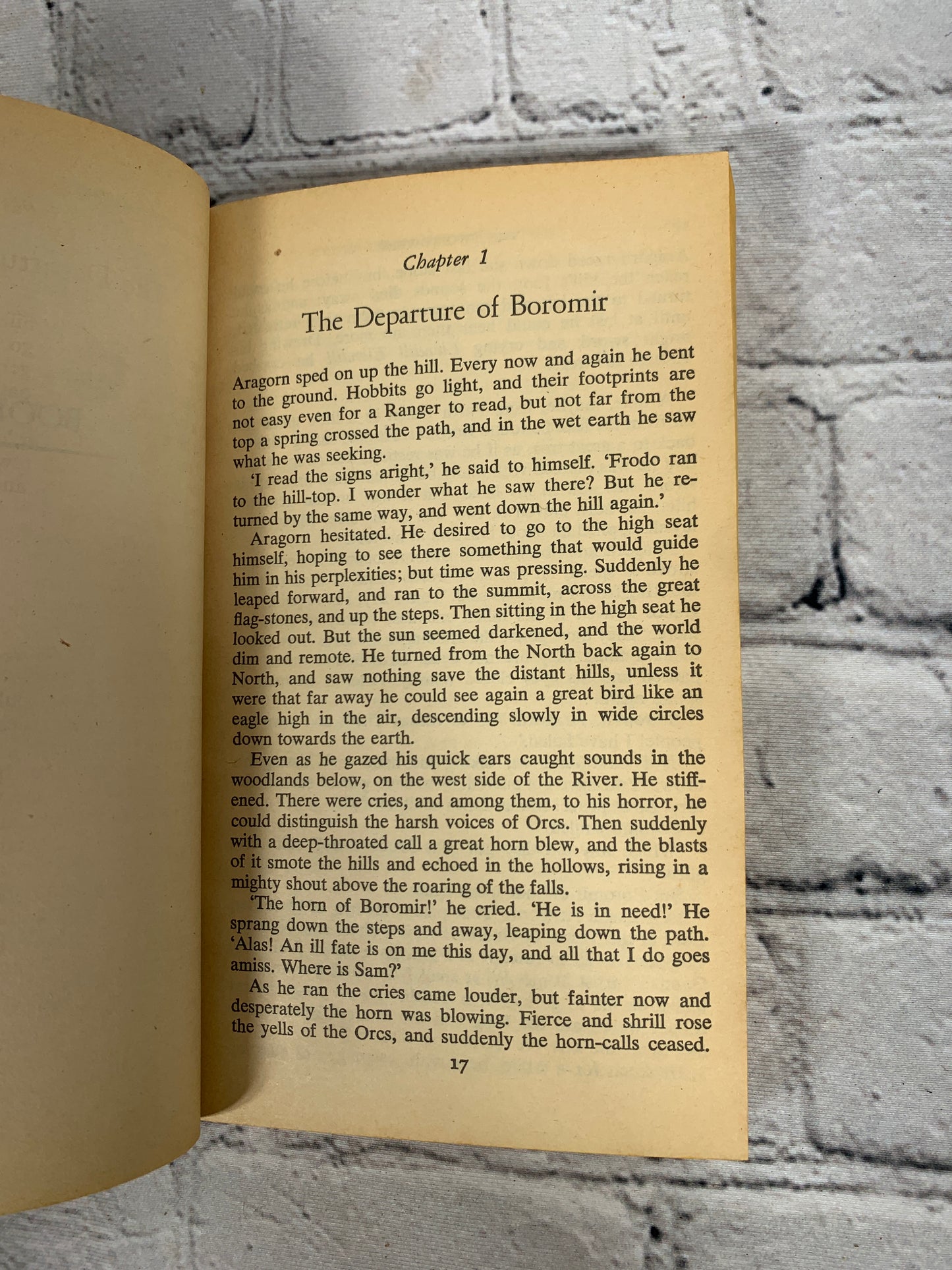 Lord of the Rings: The Two Towers by J.R.R. Tolkien [1972]