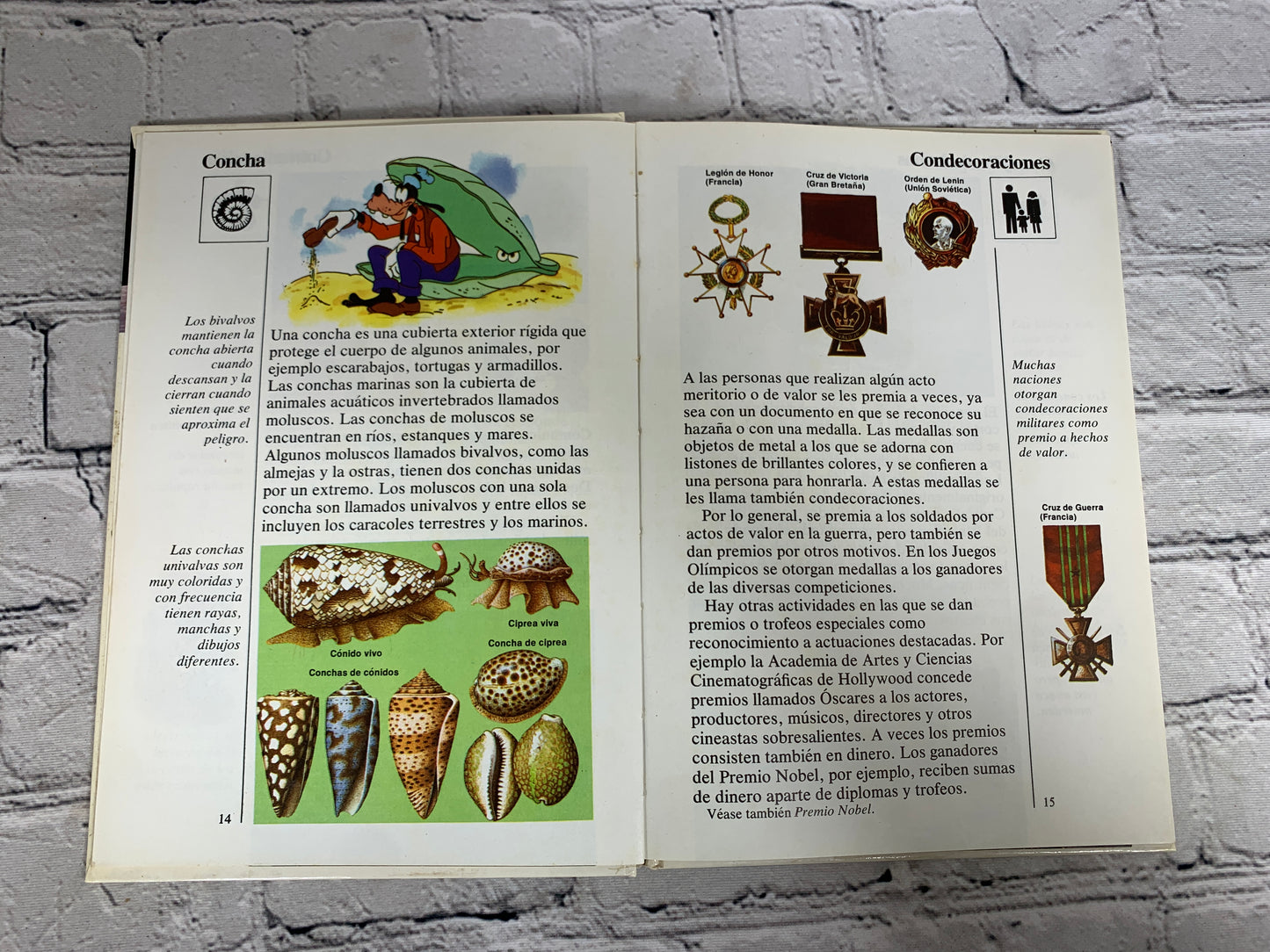 Disney Mi Primera Enciclopedia (My First Encyclopedia · Spanish · Vol. 4]