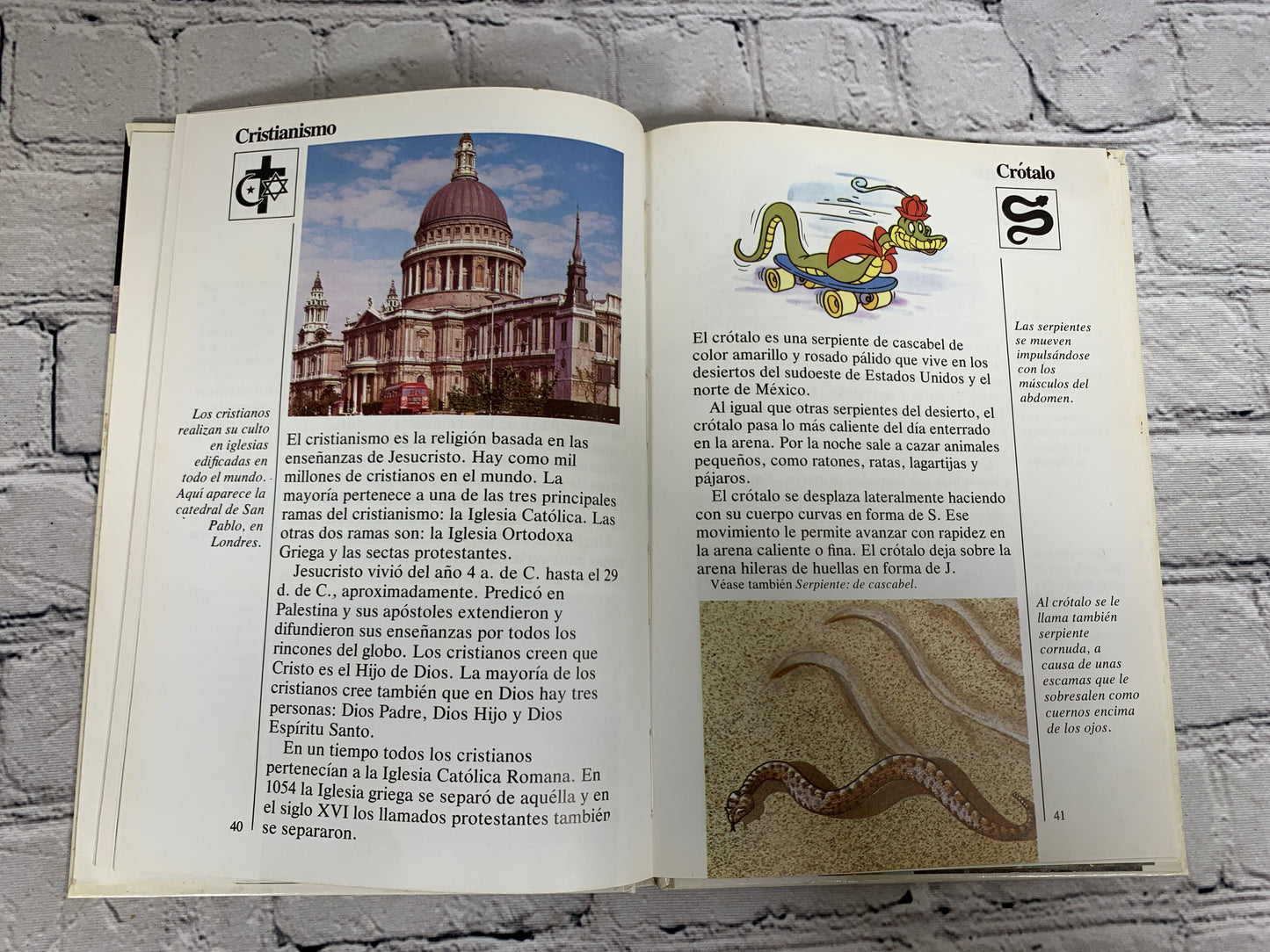 Disney Mi Primera Enciclopedia (My First Encyclopedia · Spanish · Vol. 4]