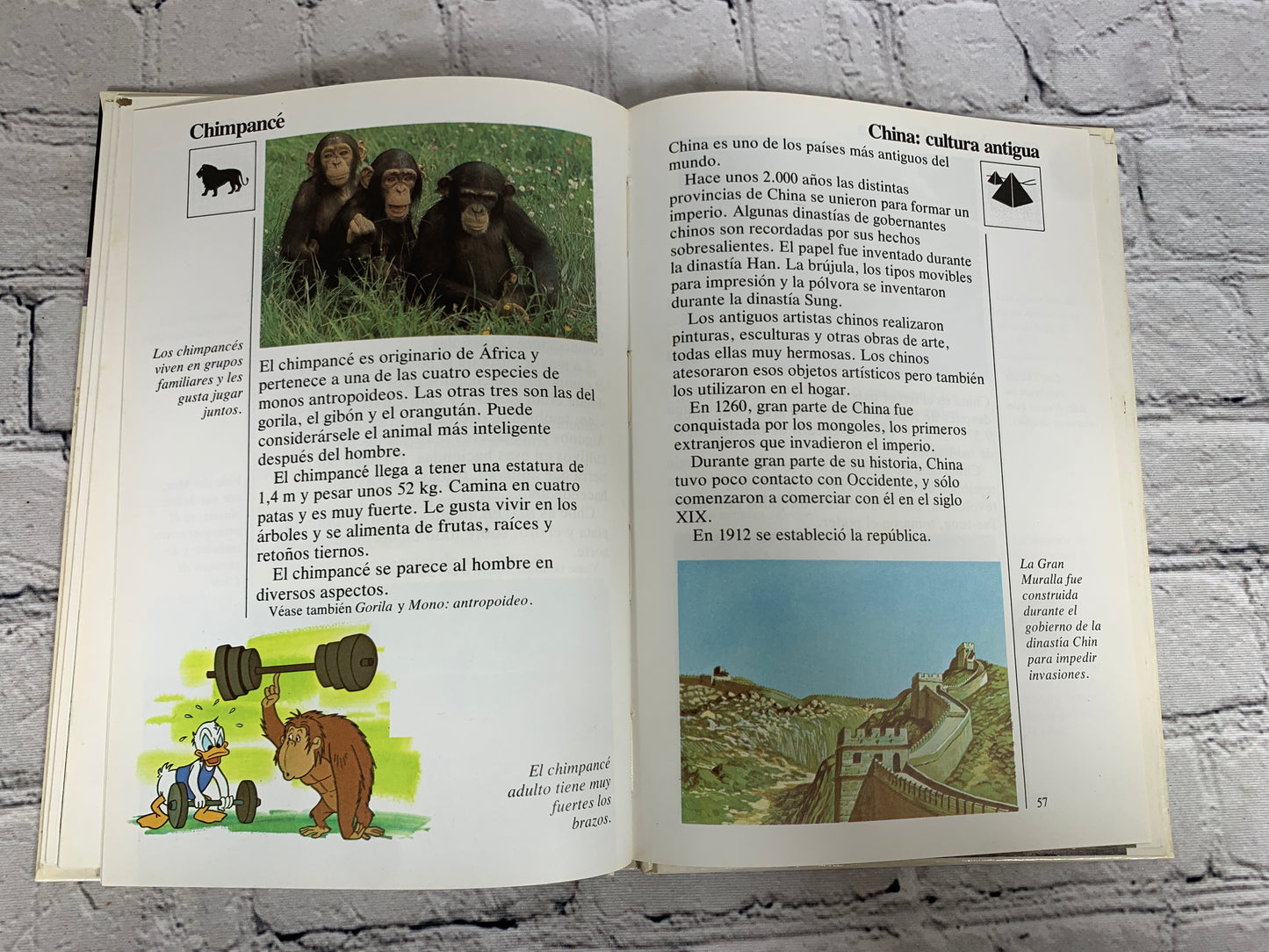 Disney Mi Primera Enciclopedia (My First Encyclopedia · Spanish · Vol. 4]