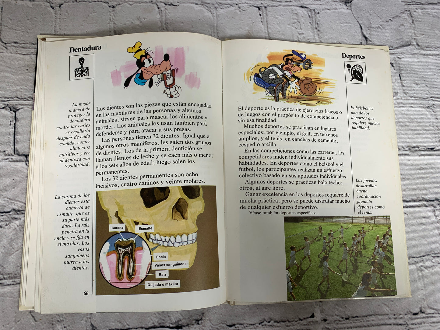 Disney Mi Primera Enciclopedia (My First Encyclopedia · Spanish · Vol. 4]