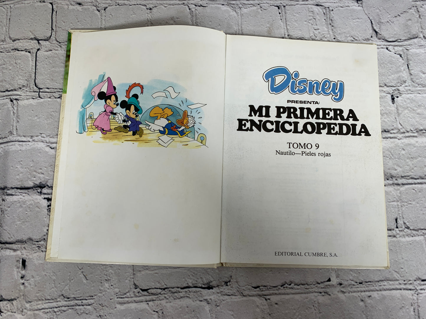 Disney Mi Primera Enciclopedia (My First Encyclopedia · Spanish · Vol. 9]