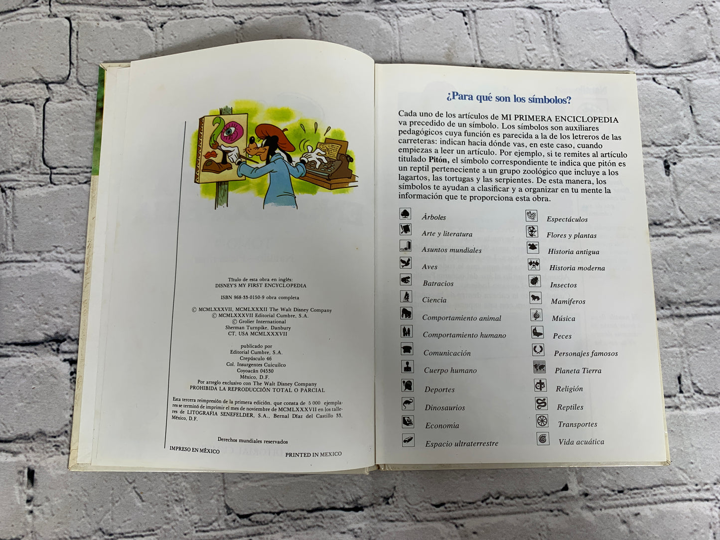 Disney Mi Primera Enciclopedia (My First Encyclopedia · Spanish · Vol. 9]