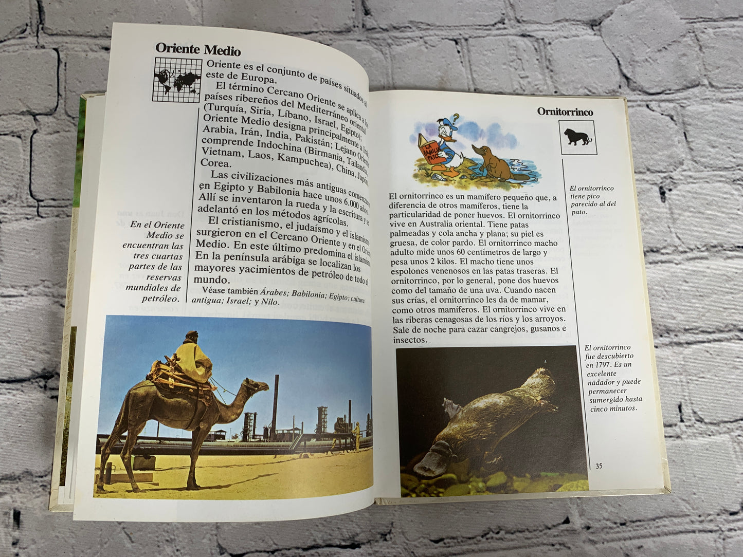 Disney Mi Primera Enciclopedia (My First Encyclopedia · Spanish · Vol. 9]