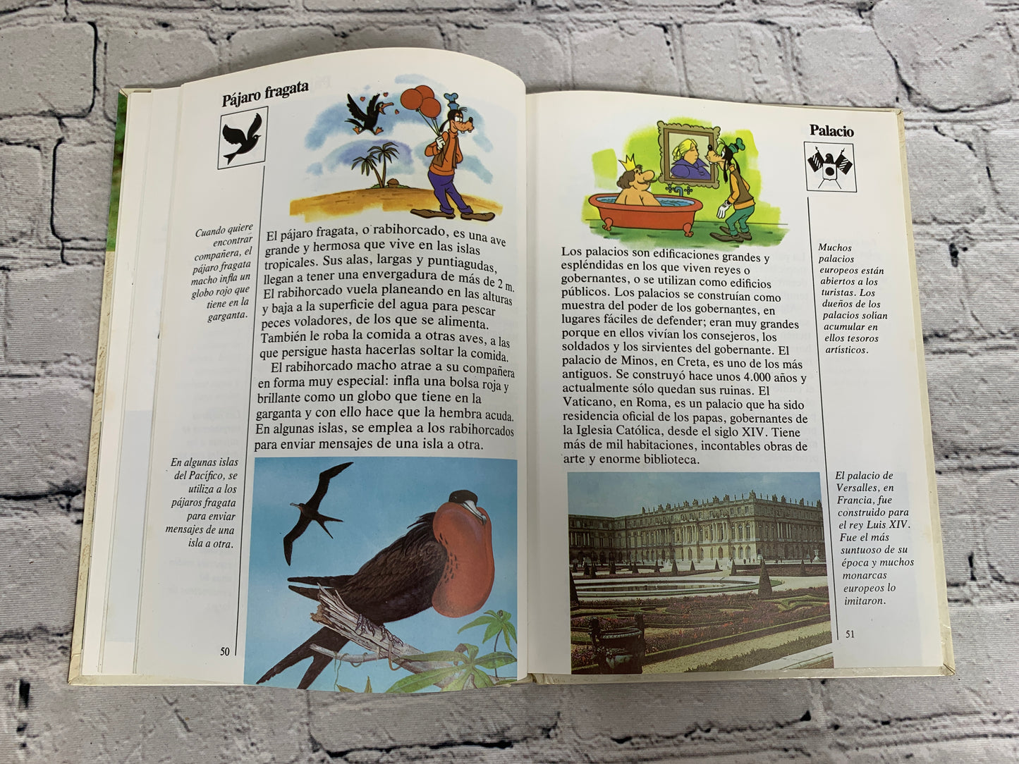 Disney Mi Primera Enciclopedia (My First Encyclopedia · Spanish · Vol. 9]