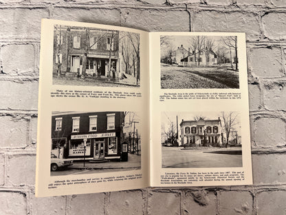 Schenectady's Changing Scene by John Pap [1969]