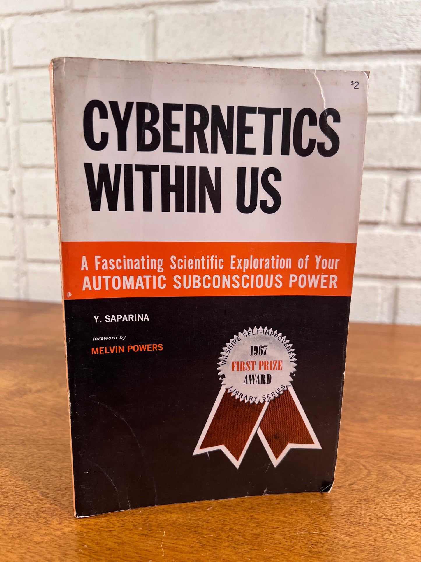 Cybernetics Within Us, Automatic Subconscious Power by Yelena Saparina