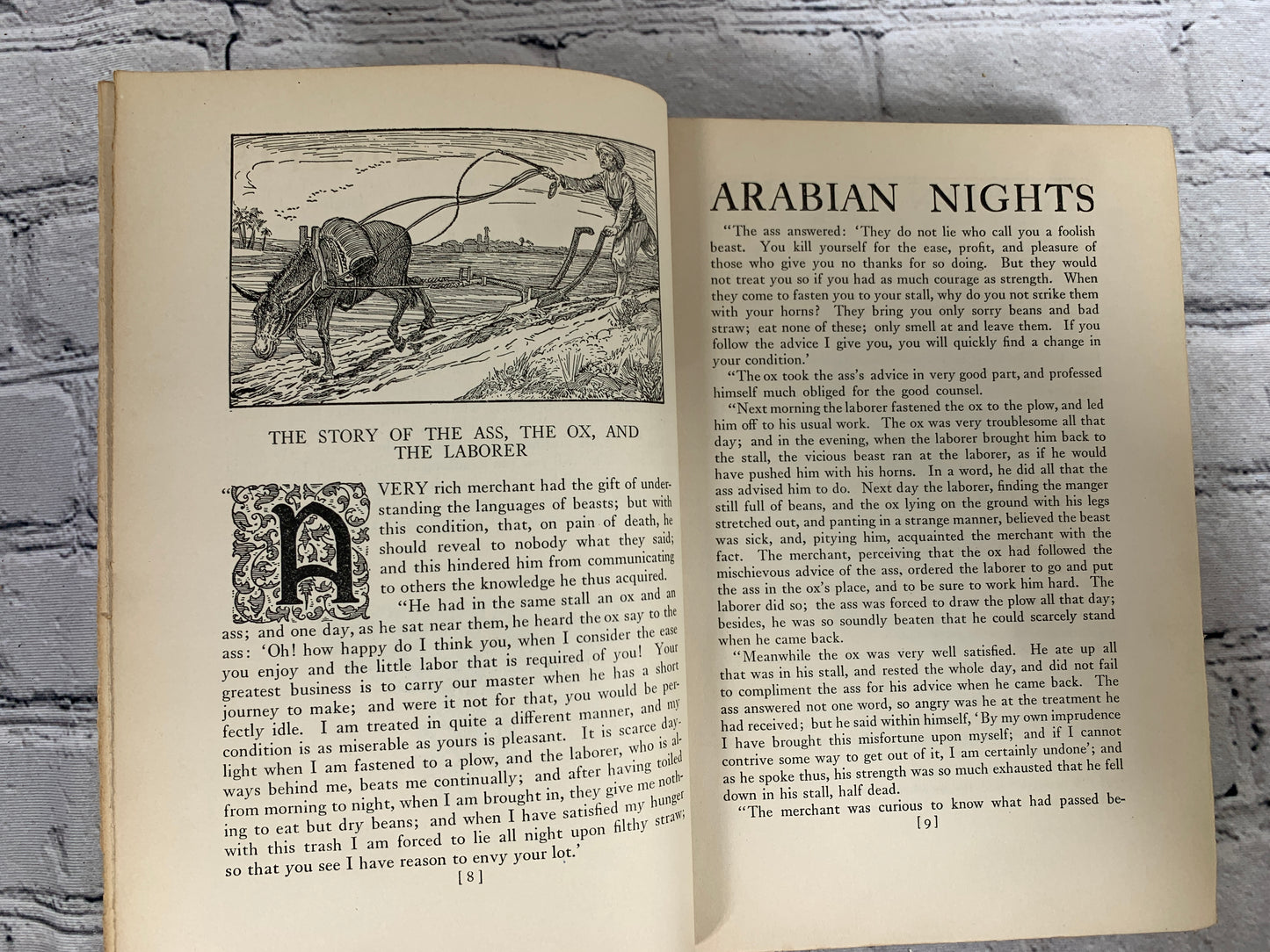 The Arabian Nights Entertainments Illustrated by Louis Rhead [1916]