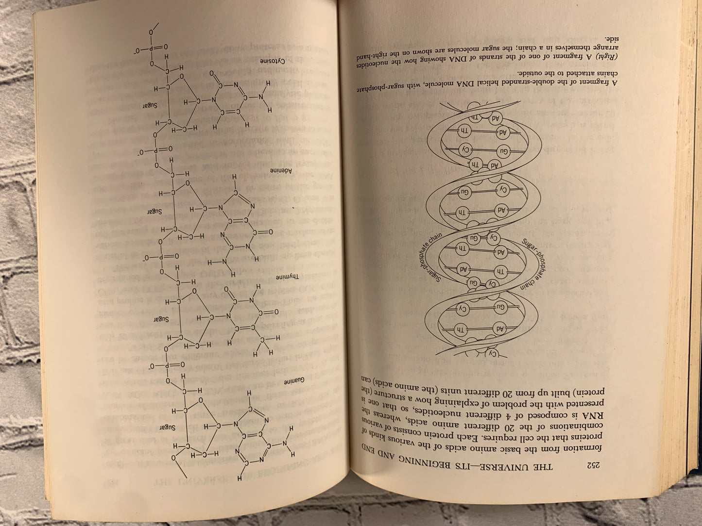 The Universe Its Beginning and End by Llyod Motz [1975 · 2nd Print]