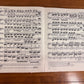 Schirmer's Library Vols. 1 and 2, Ludwig van Beethoven Sonatas for Pianoforte Solo, 1903