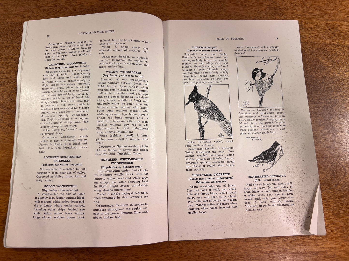 The Monthly Publication of the Yosemite Naturalist Dept. Birds of Yosemite by M.E. Beatty and C.A. Harwell