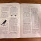 The Monthly Publication of the Yosemite Naturalist Dept. Birds of Yosemite by M.E. Beatty and C.A. Harwell