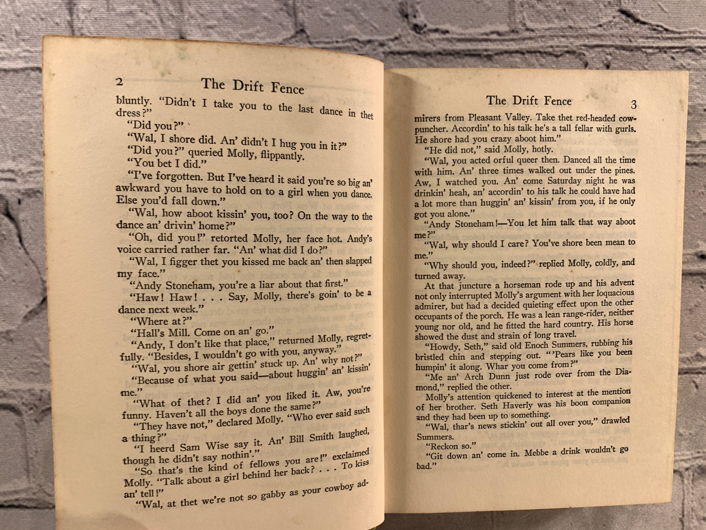 The Drift Fency by Zane Grey [Walter J. Black]