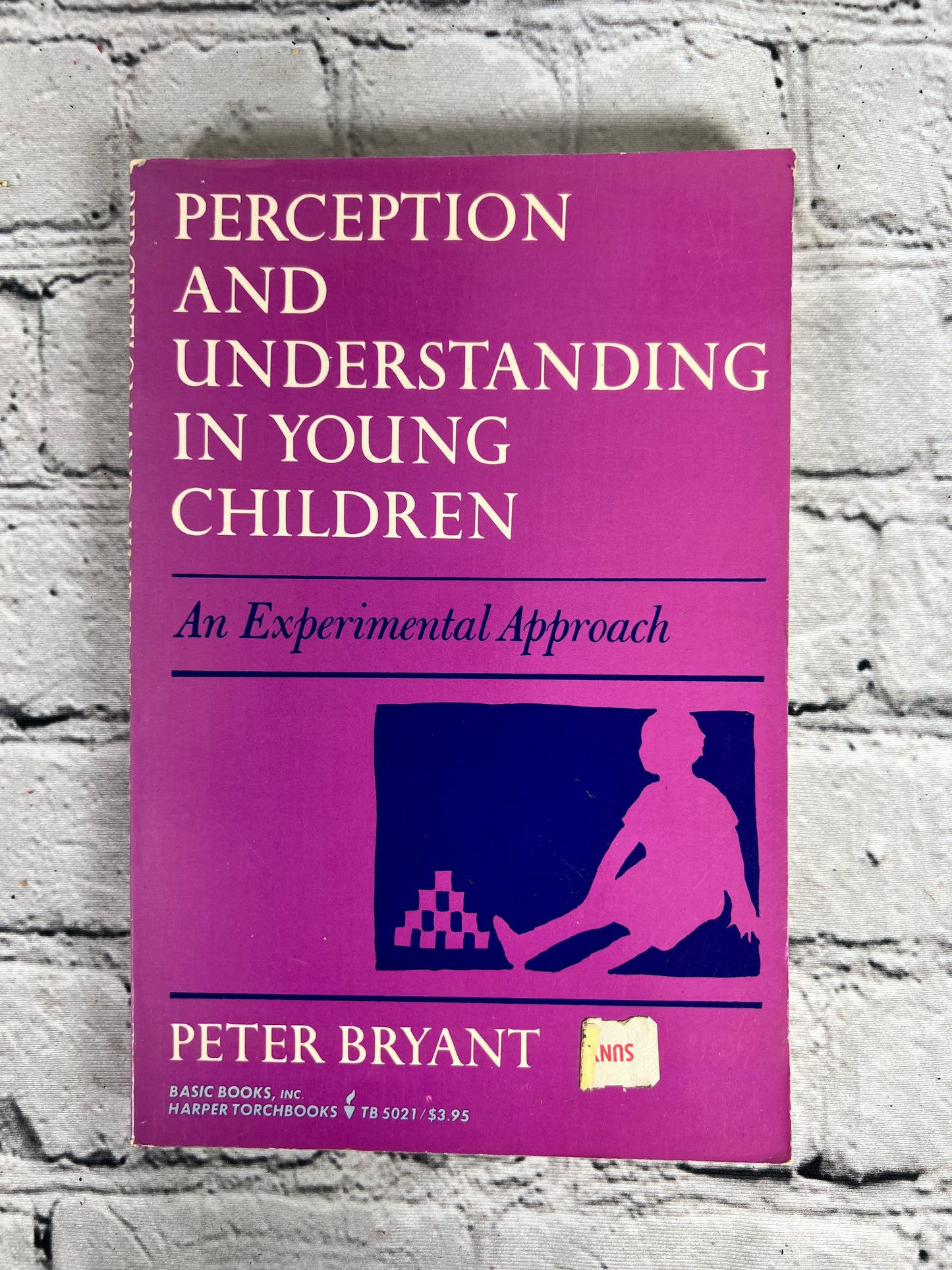 Perception and Understanding in Young Children by Peter Bryant [1974]