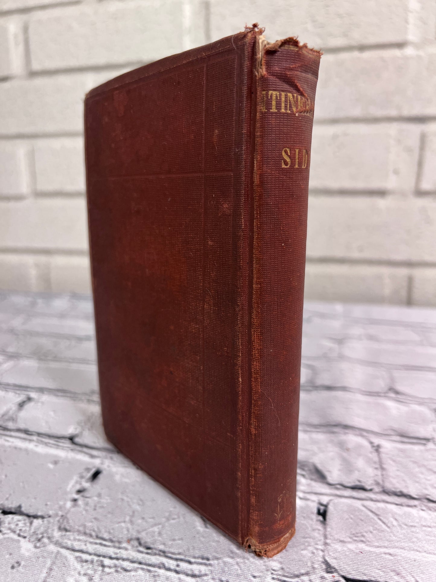 The Itinerant Side or, Picture of Life in the Itinerancy [1857, 7th Edition]