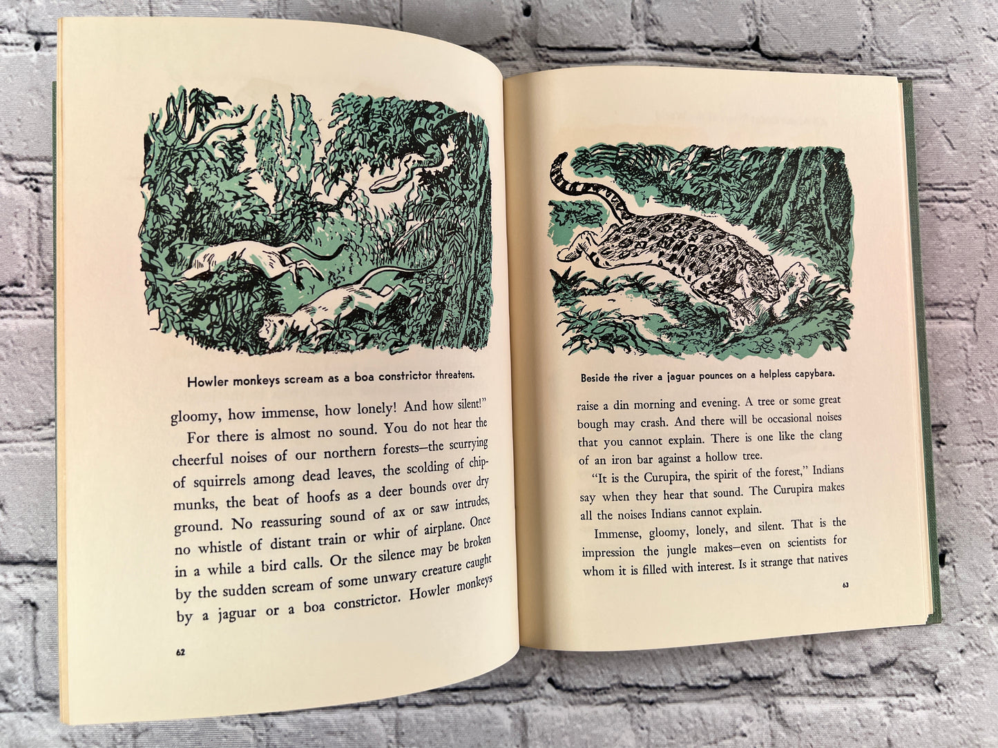 All About Books 22. All About Great Rivers of the World by Anne Terry White [1957 · 3rd Print]