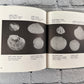 Sea Shells by Harry Zarchy [1966 · 1st Edition · The Little Hobby Book]