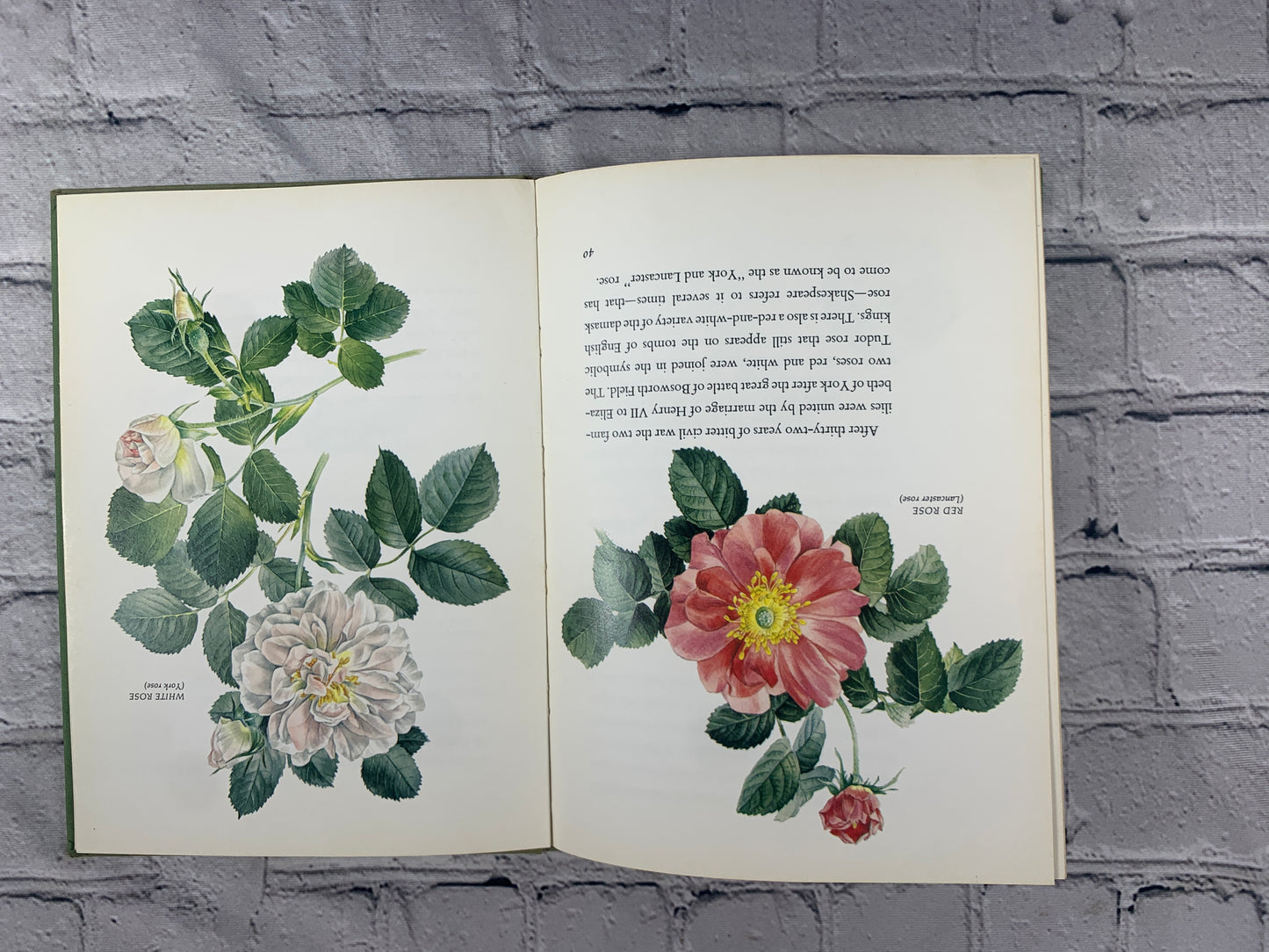 Shakespeare's Flowers by Jessica Kerr [1970 · 3rd Print]