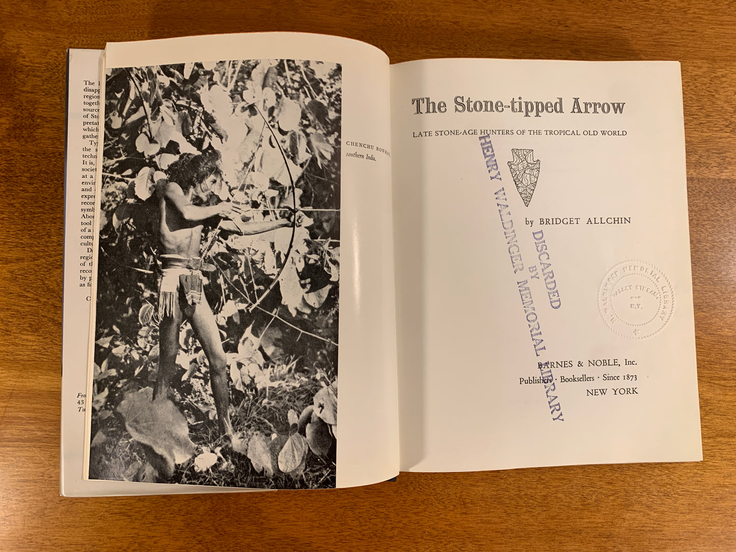 The Stone-Tipped Arrow: Late Stone Age Hunters by Bridget Allchin [1966]