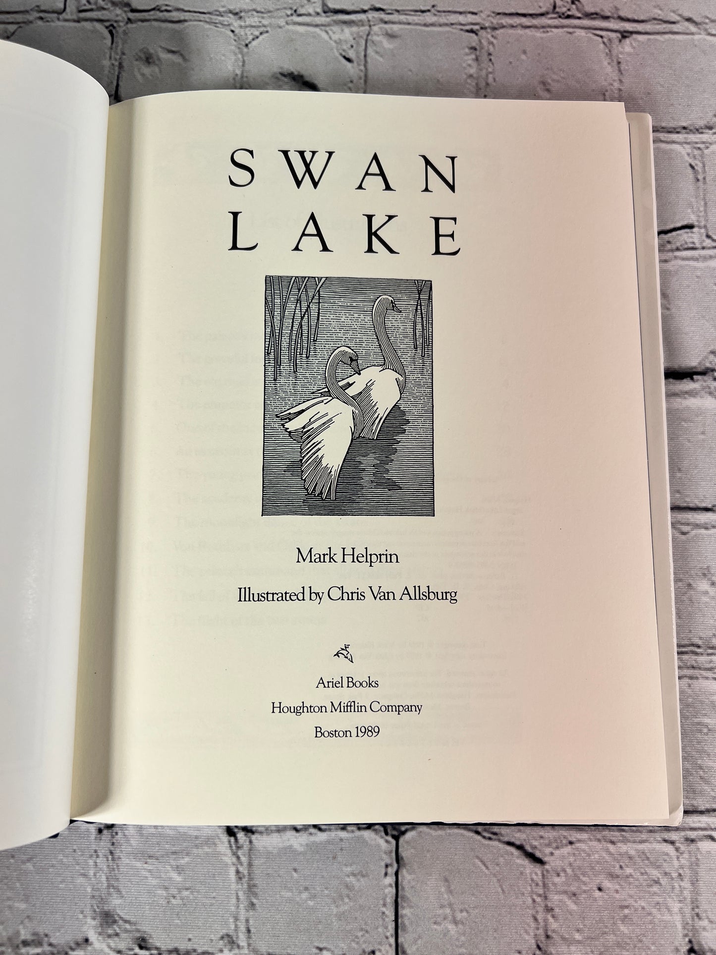 Swan Lake by Mark Helprin [1st Edition · 1st Printing · 1989]