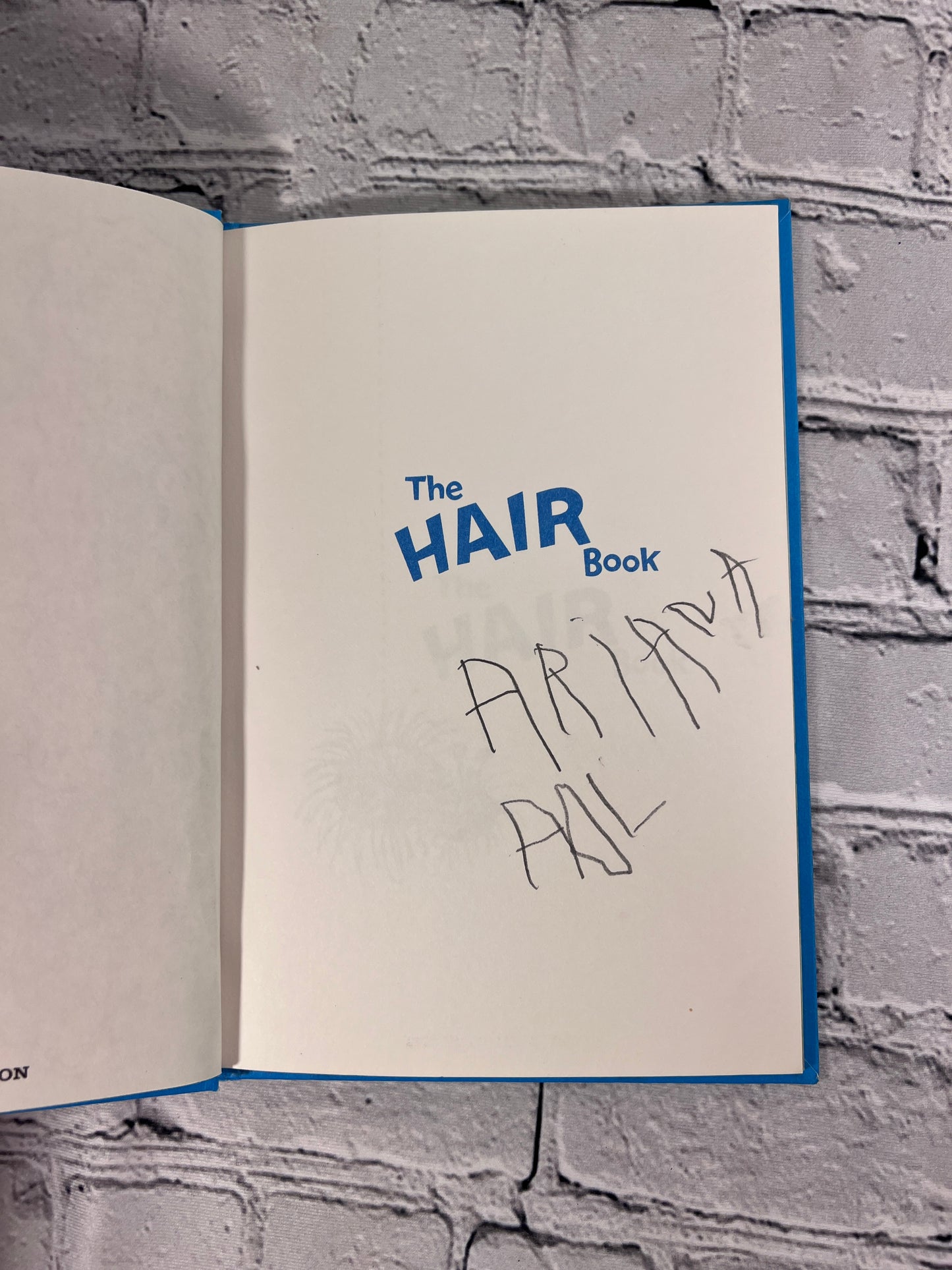 The Hair Book by Graham Tether [1979]