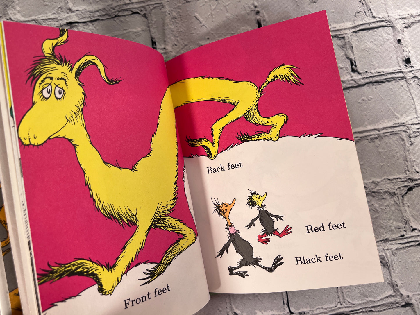 The Foot Book By Dr. Seuss [1968]