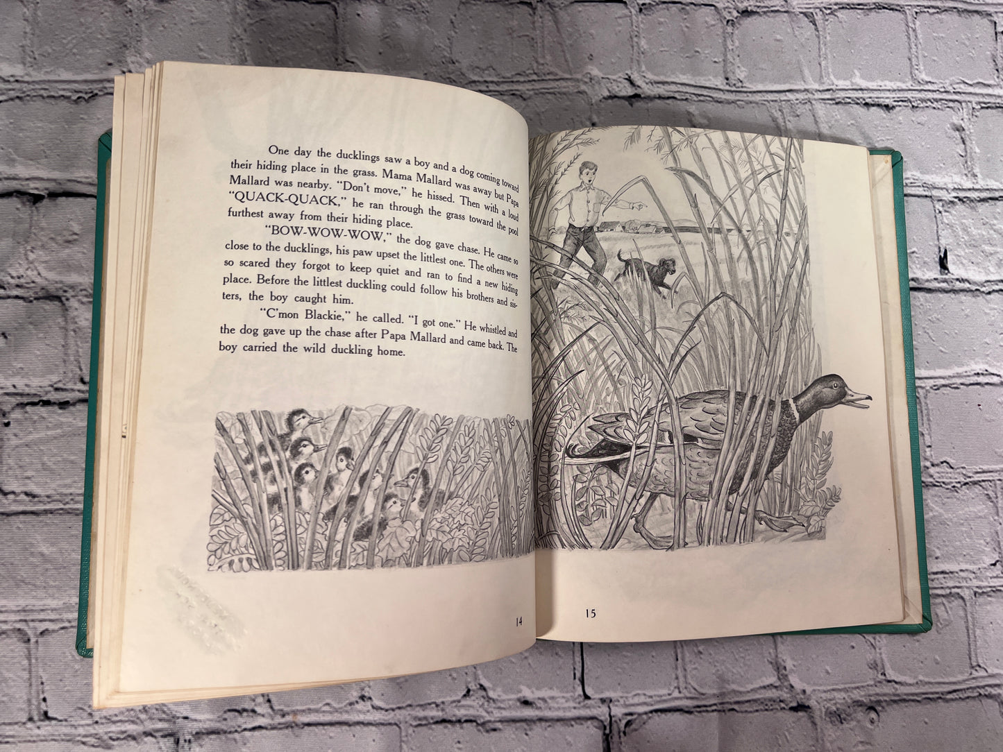Quack Quack the story of a little wild duck By Berta And Elmer Hader [1961 · 1st Printing]