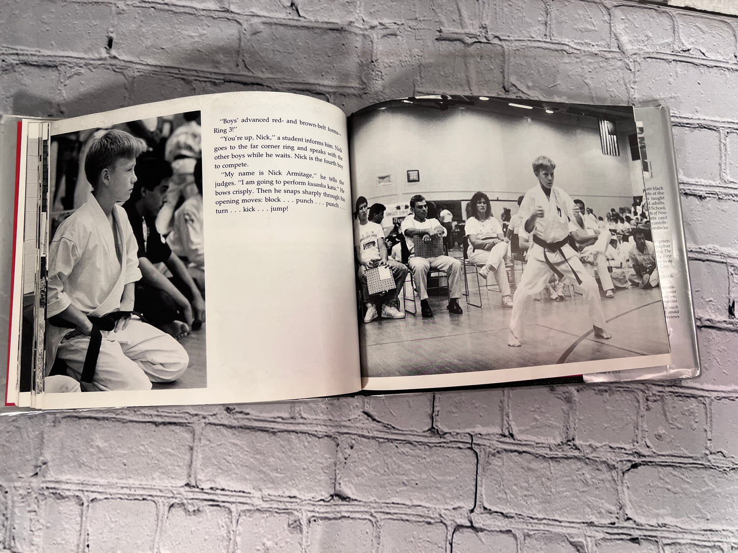 Wind Warrior: The Training of a Karate Champion by Christopher J. Goedecke [1st Ed · 1992]