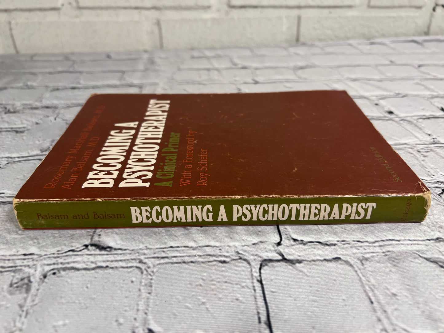 Becoming a Psychotherapist: A Clinical Primer by Rosemary Marshall Balsam, Alan Balsam