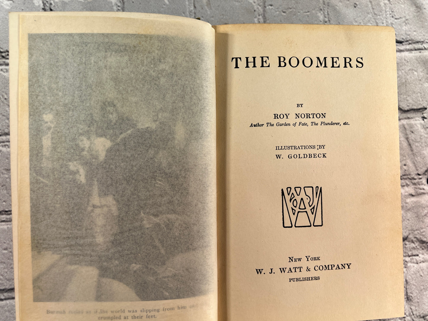 The Boomers by Roy Norton [1914 · 1st Edition]