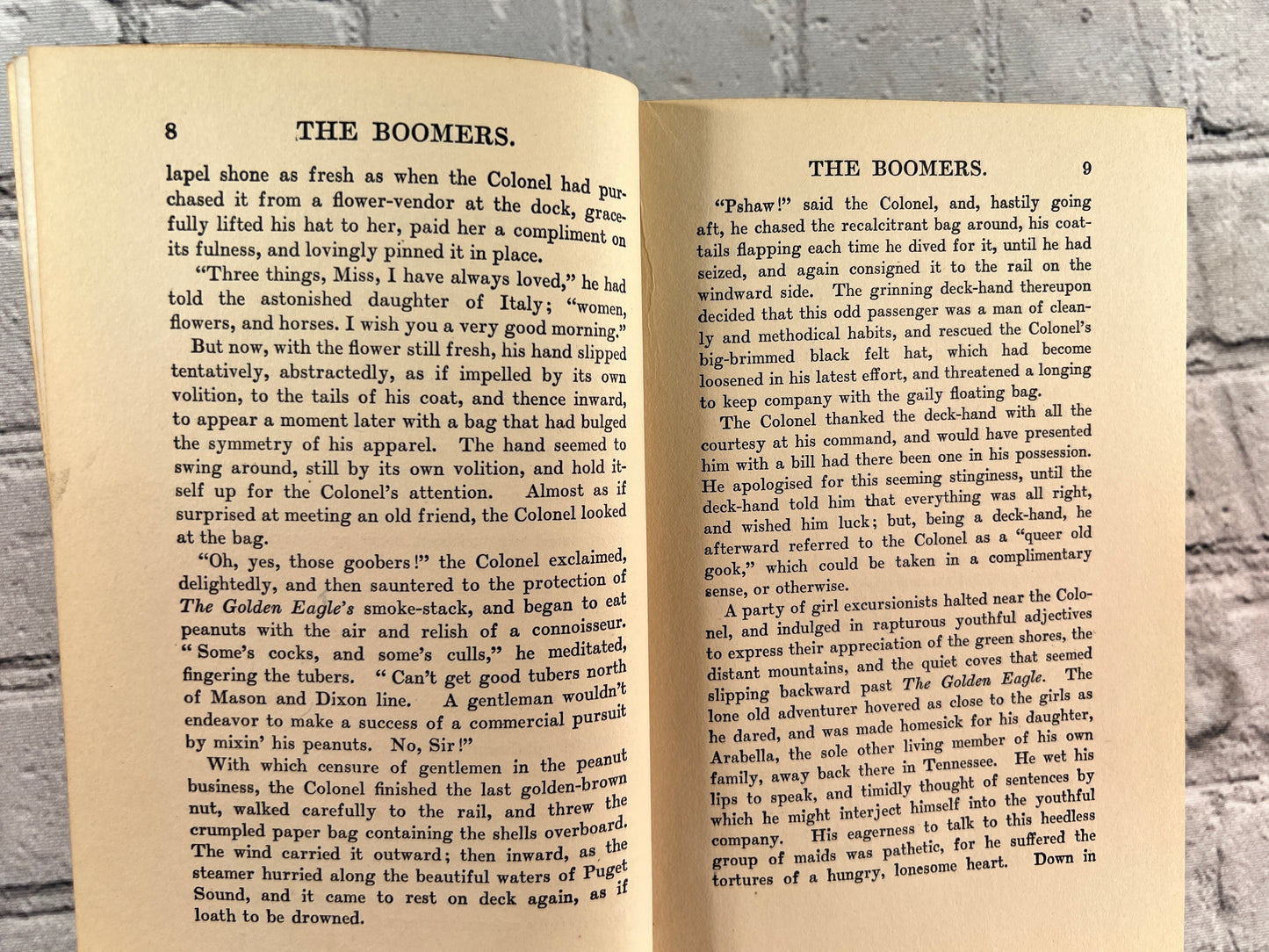 The Boomers by Roy Norton [1914 · 1st Edition]