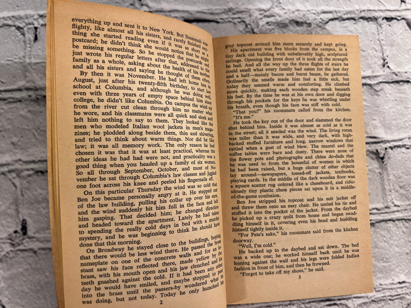 If Morning Ever Comes by Anne Tyler [1965]