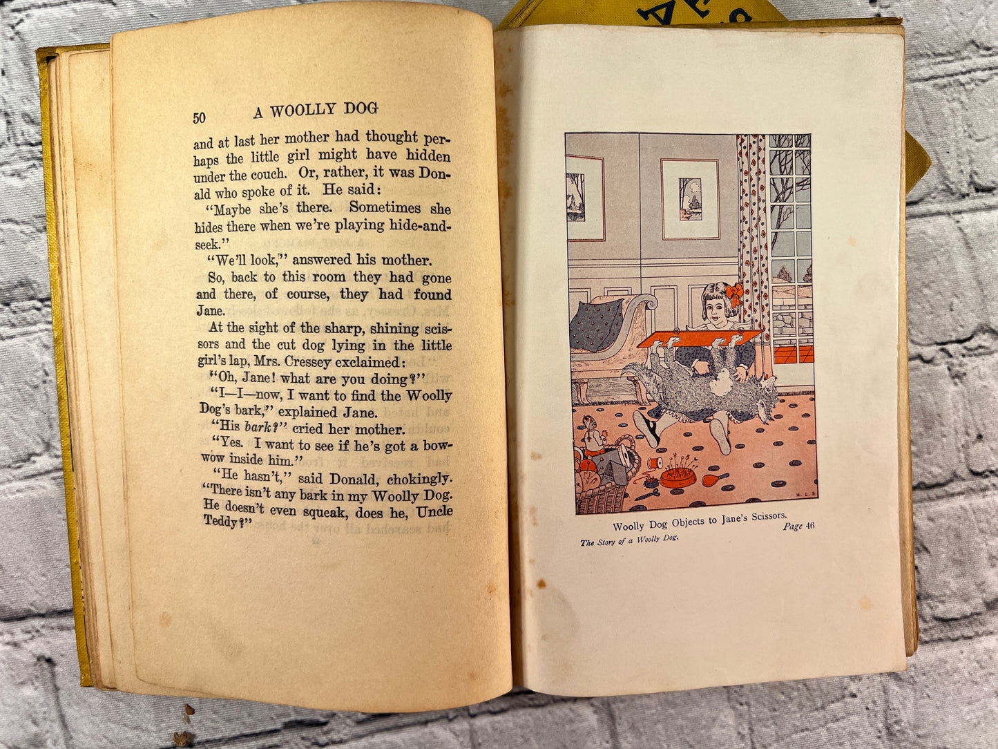 The Story of China Cat / Woolly Dog by Laura Lee Hope [1920s]