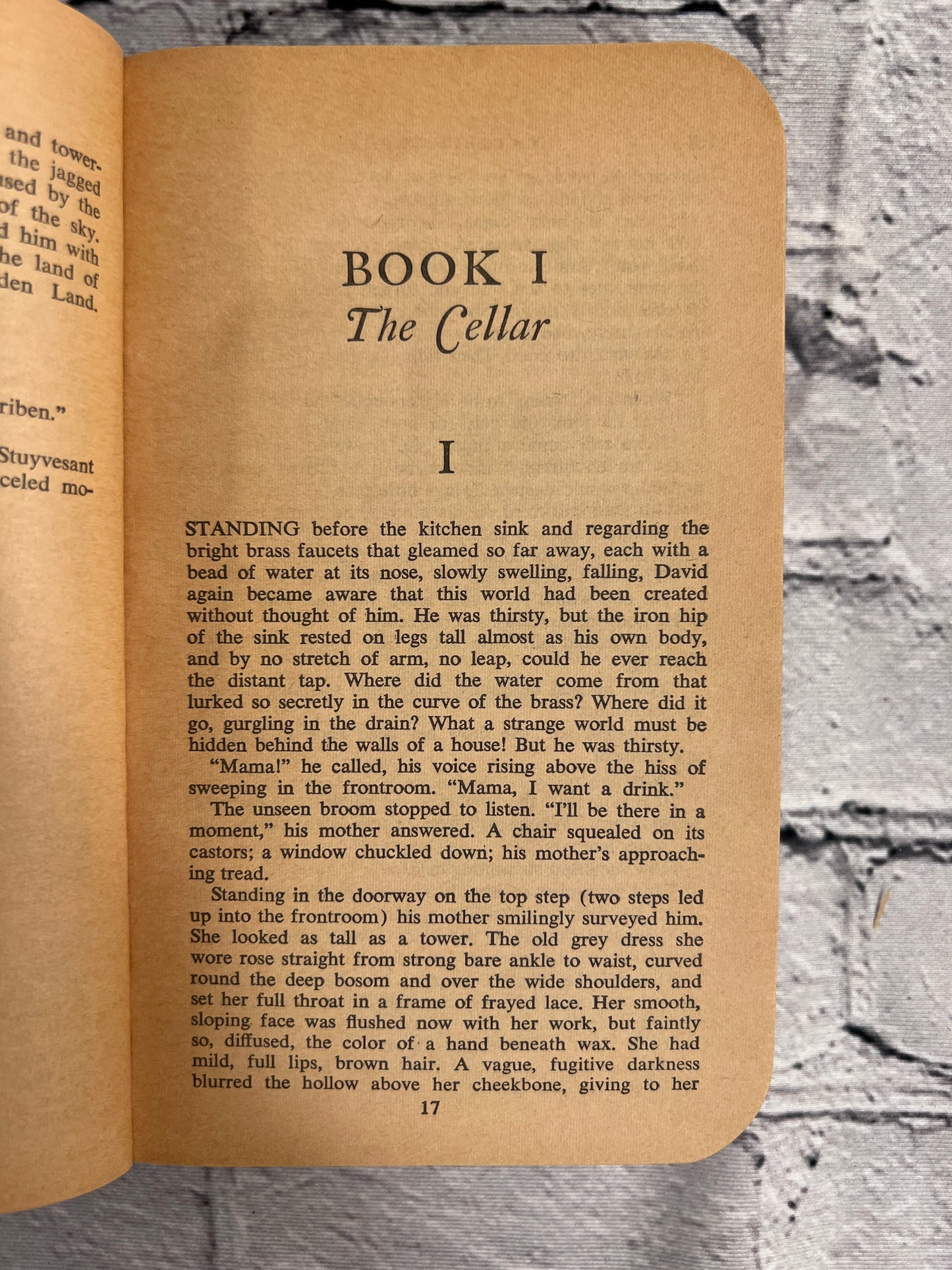 Call it Sleep by Henry Roth [1965]