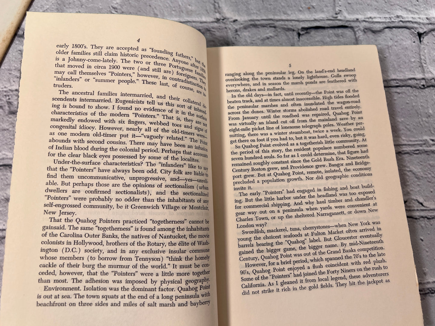 Only in New England: The Story of a Gaslight Crime by Theodore Roscoe [1959]