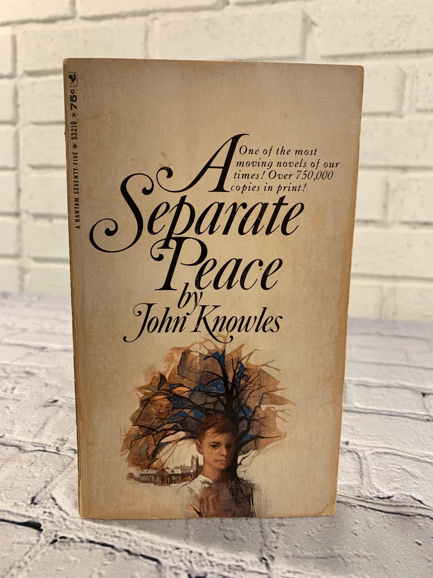 A Separate Peace by John Knowles [1967]