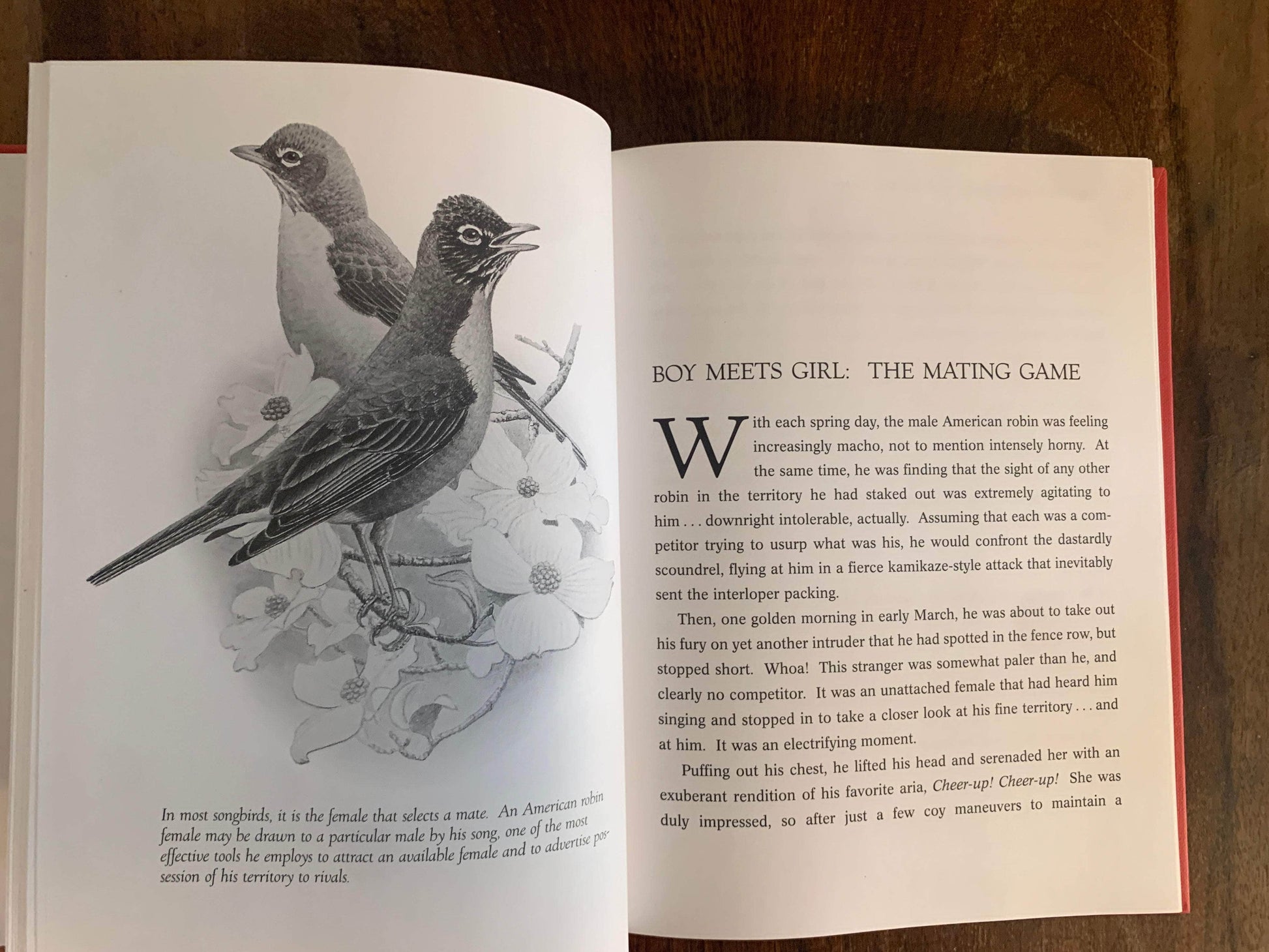 Flipped Pages Birds Do It, Too: The Amazing Sex Life of Birds by Kit and George Harrison