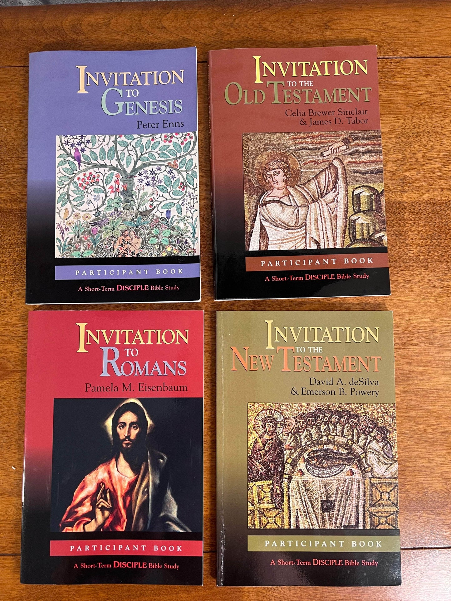 Flipped Pages Invitation to Genesis, Old Testament, Romans: Participant Book: A Short-Term Disciple Bible Study lot of 4 Books