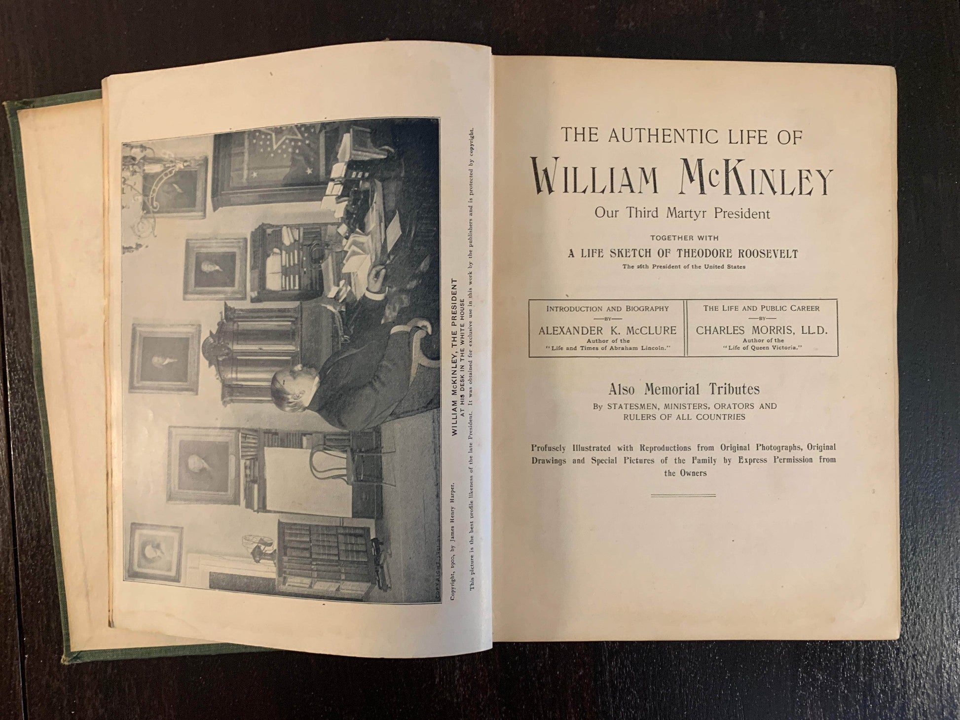 Flipped Pages The Authentic Life of William McKinley: Our Third Martyr President with companion book