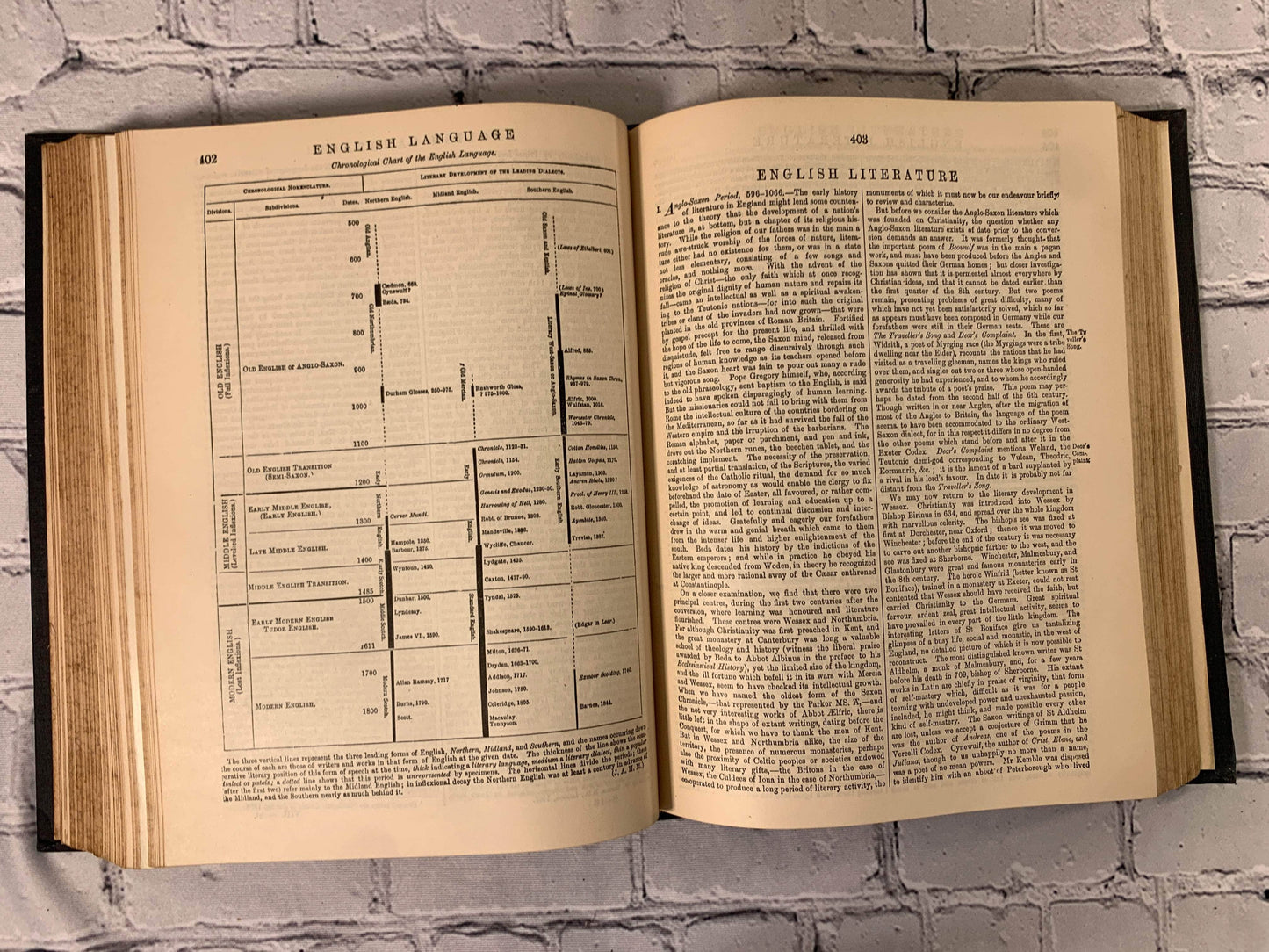 Flipped Pages The Encyclopedia Britannica New Werner Edition Twentieth Century Vol VIII [1903]